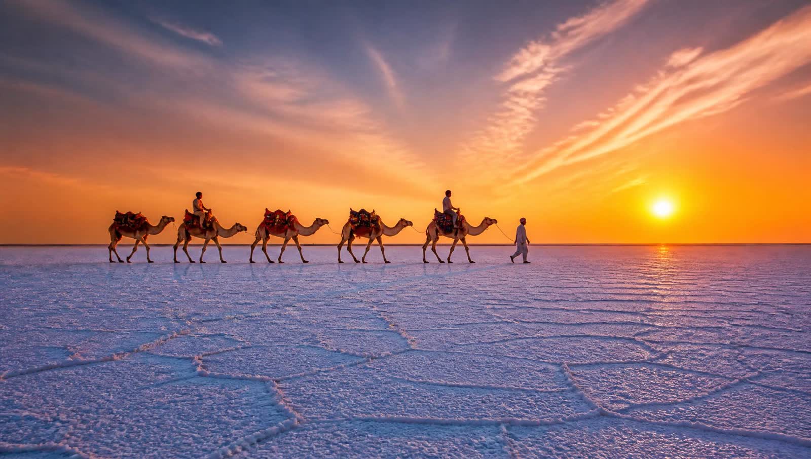Camel caravan crossing the White Rann of Kutch at golden hour
