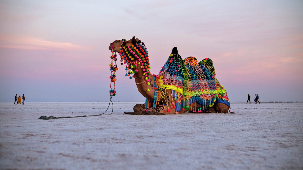 Kutch + Coast Gujarat tour